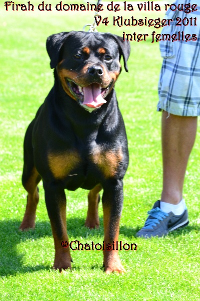 Firah du domaine la Villa Rouge Firah du domaine la Villa Rouge