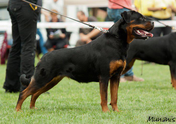 Beatelke Ilka Beatelke Ilka