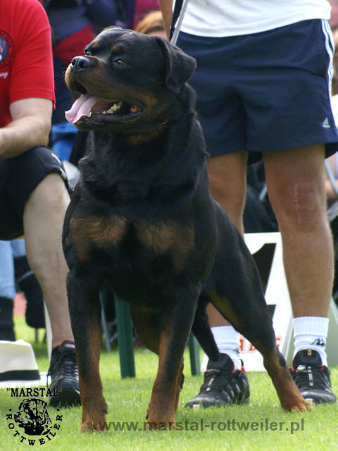 Burning des Princes d'Aragone Burning des Princes d'Aragone