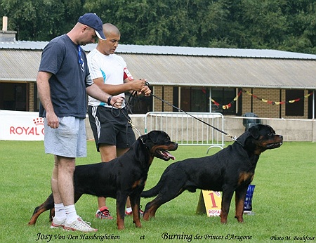 Burning des Princes d'Aragone Burning des Princes d'Aragone