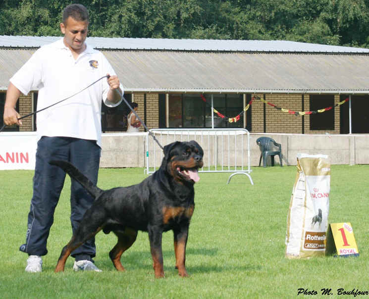 Burning des Princes d'Aragone Burning des Princes d'Aragone