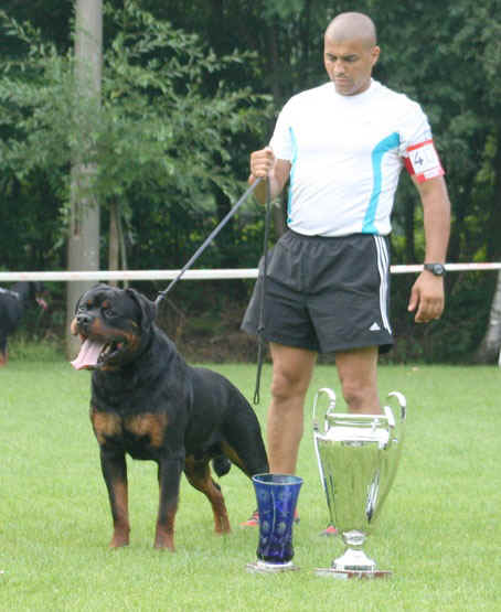 Burning des Princes d'Aragone Burning des Princes d'Aragone