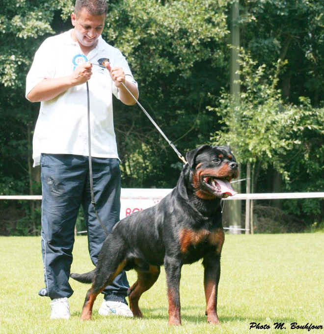 Burning des Princes d'Aragone Burning des Princes d'Aragone