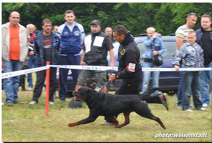 Burning des Princes d'Aragone Burning des Princes d'Aragone