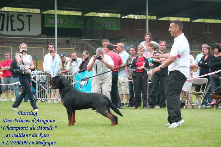 Burning des Princes d'Aragone Burning des Princes d'Aragone