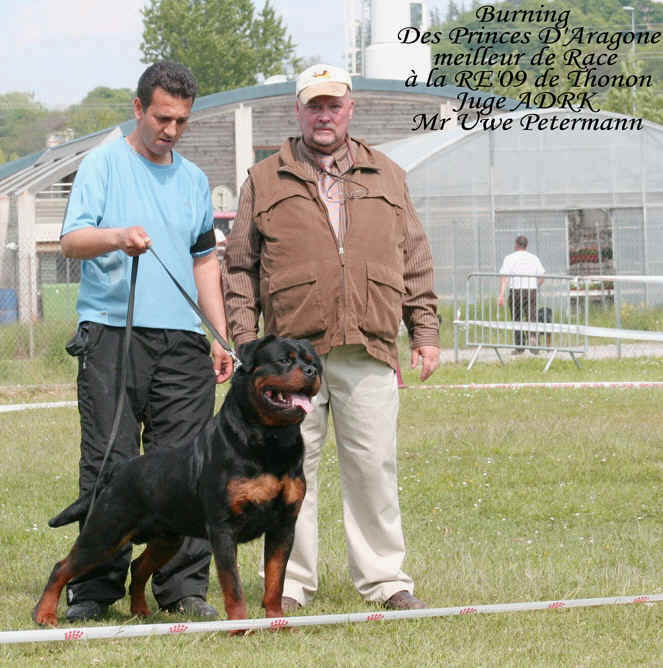 Burning des Princes d'Aragone Burning des Princes d'Aragone