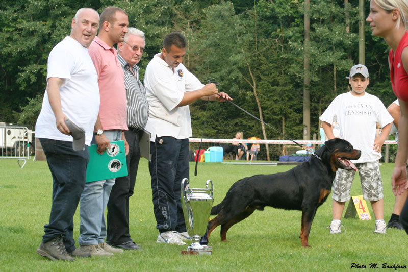 Burning des Princes d'Aragone Burning des Princes d'Aragone