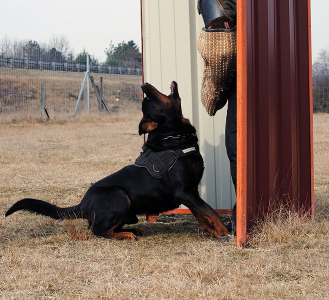 Burning des Princes d'Aragone Burning des Princes d'Aragone