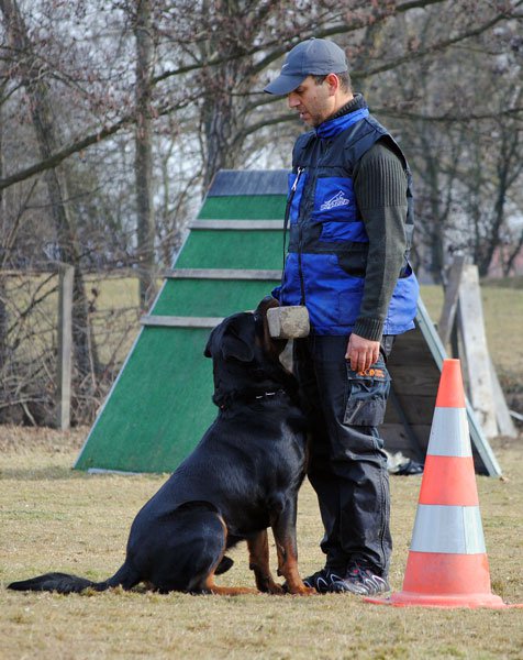 Burning des Princes d'Aragone Burning des Princes d'Aragone