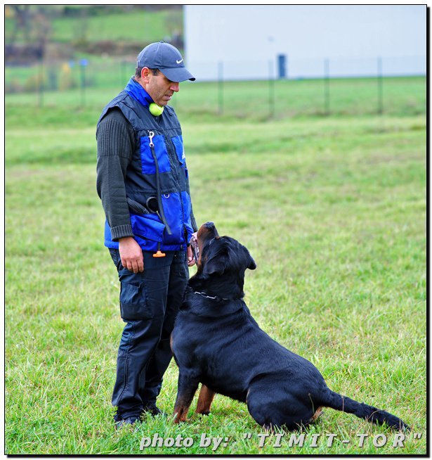 Burning des Princes d'Aragone Burning des Princes d'Aragone