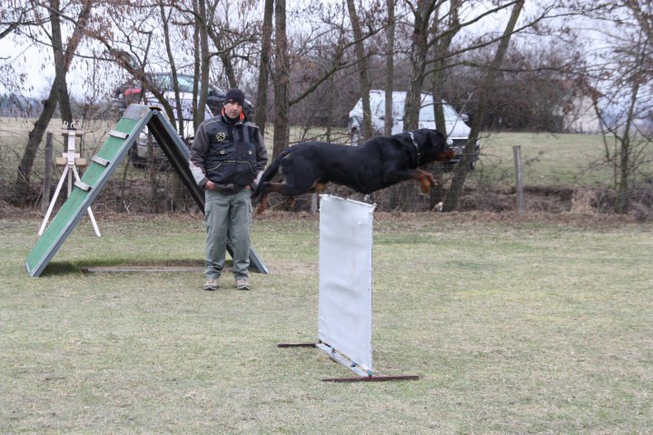 Burning des Princes d'Aragone Burning des Princes d'Aragone