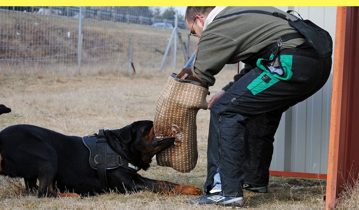 Burning des Princes d'Aragone Burning des Princes d'Aragone