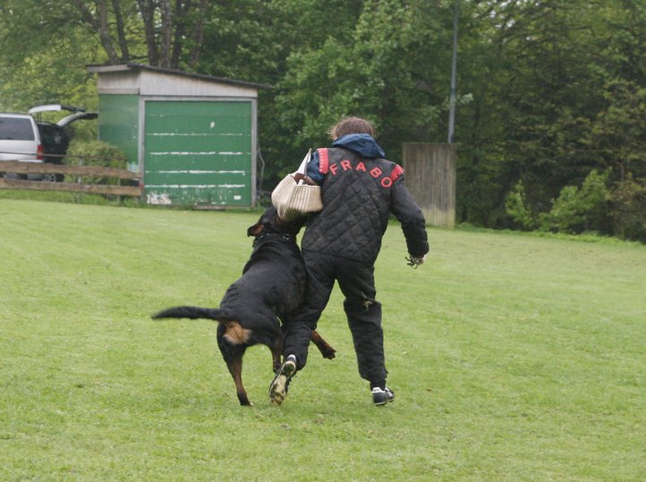 Burning des Princes d'Aragone Burning des Princes d'Aragone