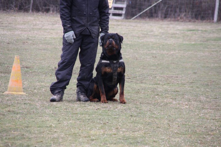 Burning des Princes d'Aragone Burning des Princes d'Aragone