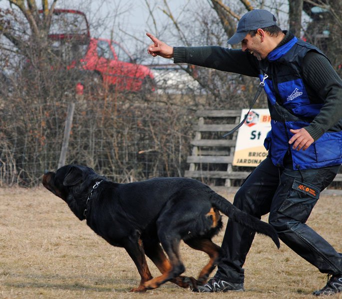 Burning des Princes d'Aragone Burning des Princes d'Aragone