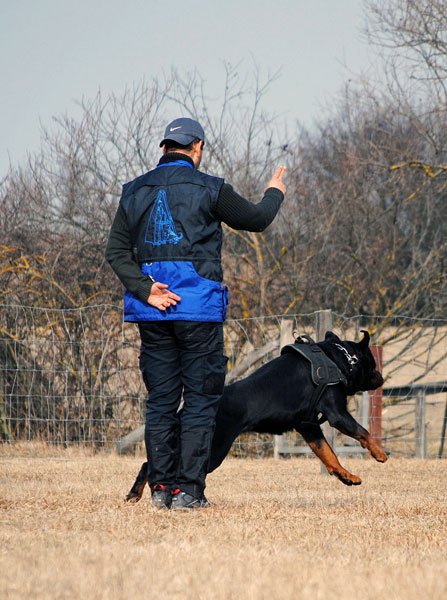 Burning des Princes d'Aragone Burning des Princes d'Aragone