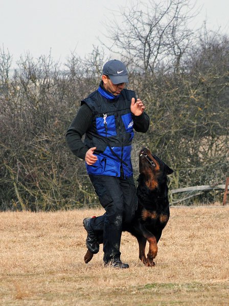 Burning des Princes d'Aragone Burning des Princes d'Aragone