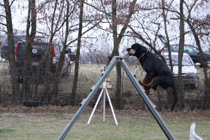 Burning des Princes d'Aragone Burning des Princes d'Aragone