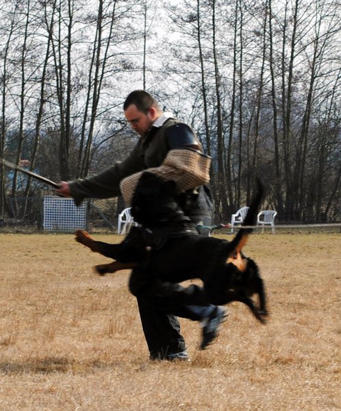 Burning des Princes d'Aragone Burning des Princes d'Aragone