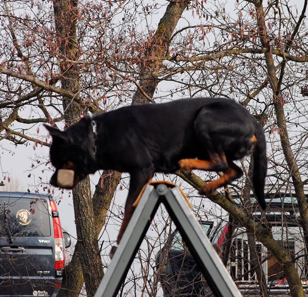 Burning des Princes d'Aragone Burning des Princes d'Aragone