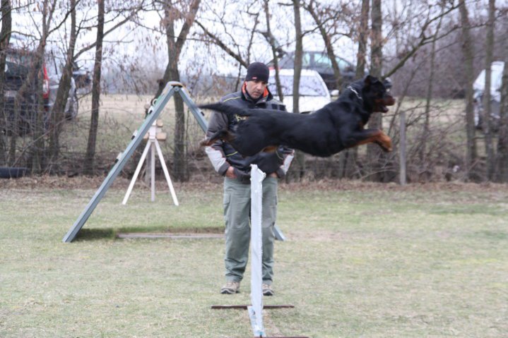 Burning des Princes d'Aragone Burning des Princes d'Aragone