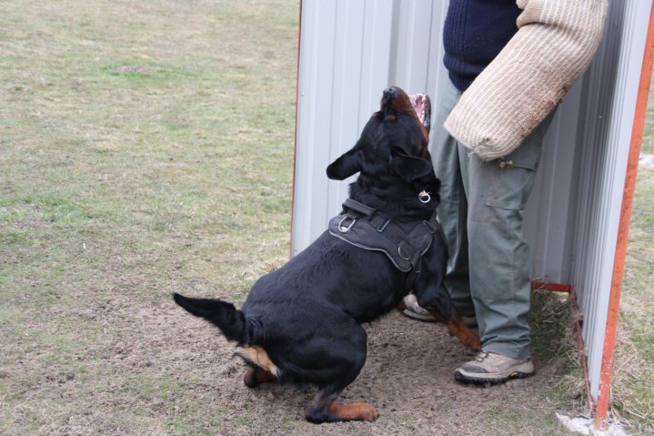 Burning des Princes d'Aragone Burning des Princes d'Aragone