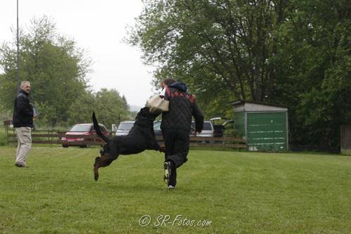 Burning des Princes d'Aragone Burning des Princes d'Aragone