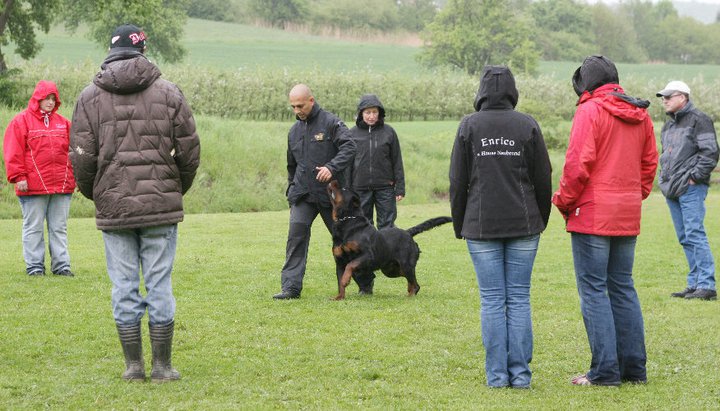 Burning des Princes d'Aragone Burning des Princes d'Aragone