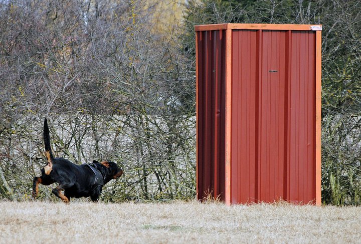 Burning des Princes d'Aragone Burning des Princes d'Aragone