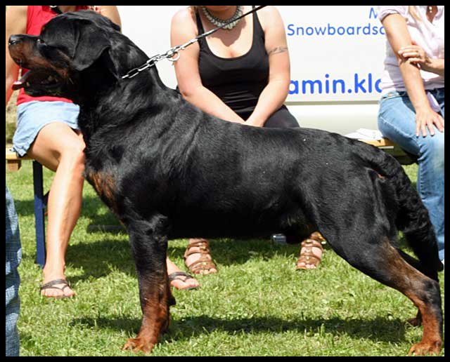 Burning des Princes d'Aragone Burning des Princes d'Aragone