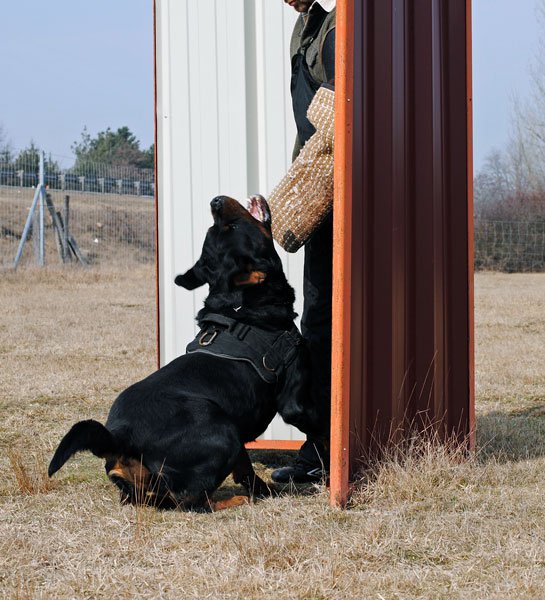 Burning des Princes d'Aragone Burning des Princes d'Aragone