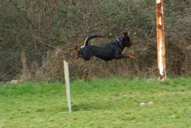 Burning des Princes d'Aragone Burning des Princes d'Aragone