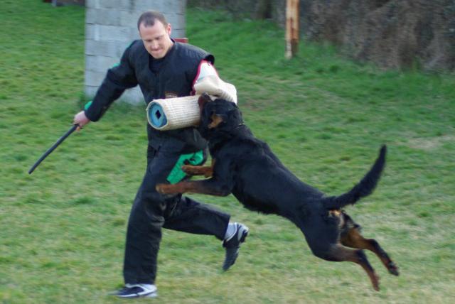 Burning des Princes d'Aragone Burning des Princes d'Aragone