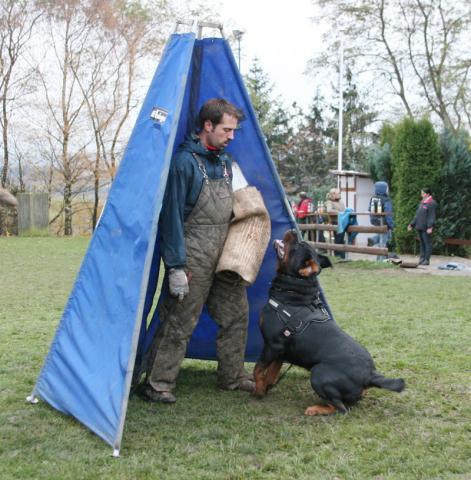 Burning des Princes d'Aragone Burning des Princes d'Aragone