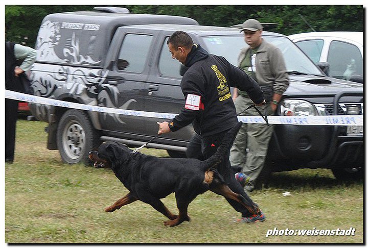 Burning des Princes d'Aragone Burning des Princes d'Aragone