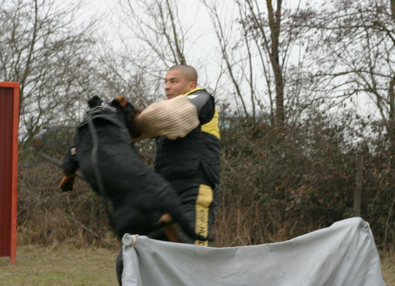 Burning des Princes d'Aragone Burning des Princes d'Aragone