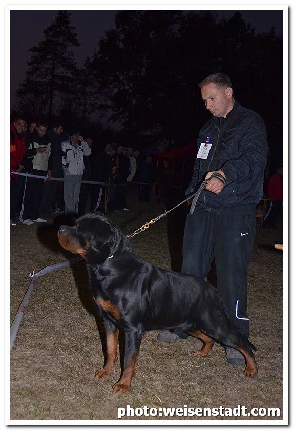 Burning des Princes d'Aragone Burning des Princes d'Aragone