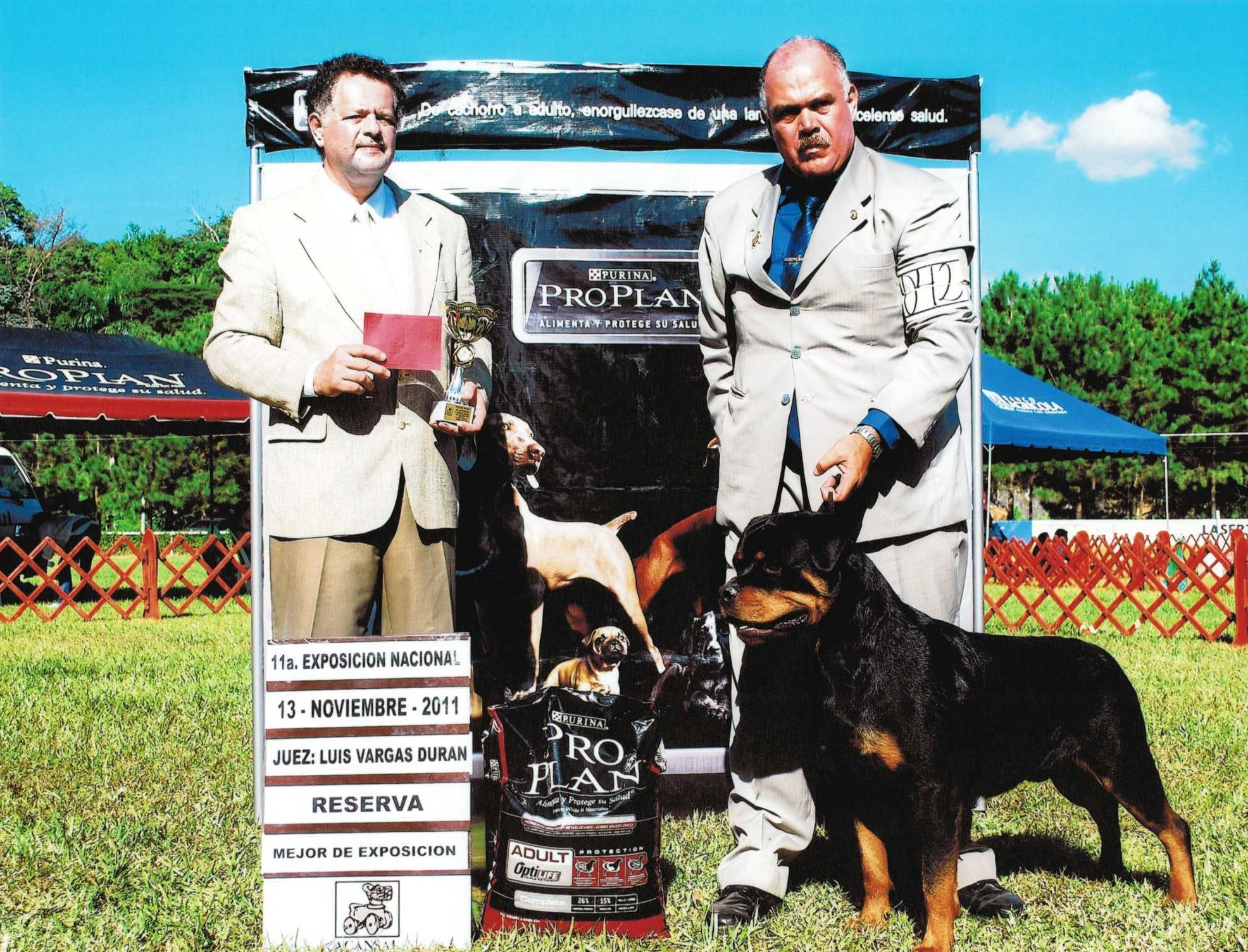 Castor von der Alten Festung Castor von der Alten Festung