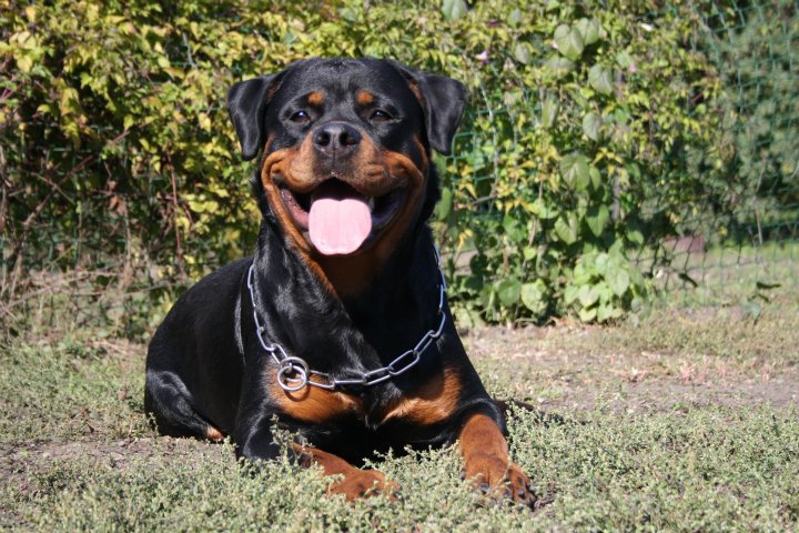 Darina von der Alten Festung Darina von der Alten Festung