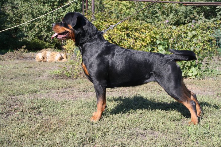 Darina von der Alten Festung Darina von der Alten Festung