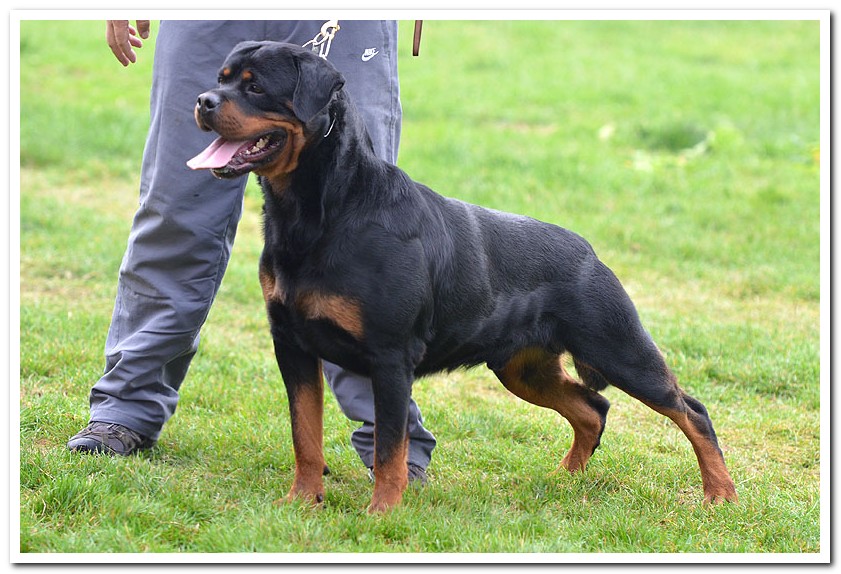 Diego von der Alten Festung Diego von der Alten Festung