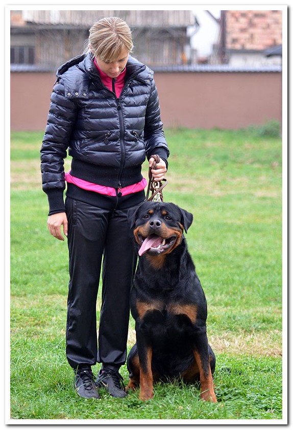 Diego von der Alten Festung Diego von der Alten Festung