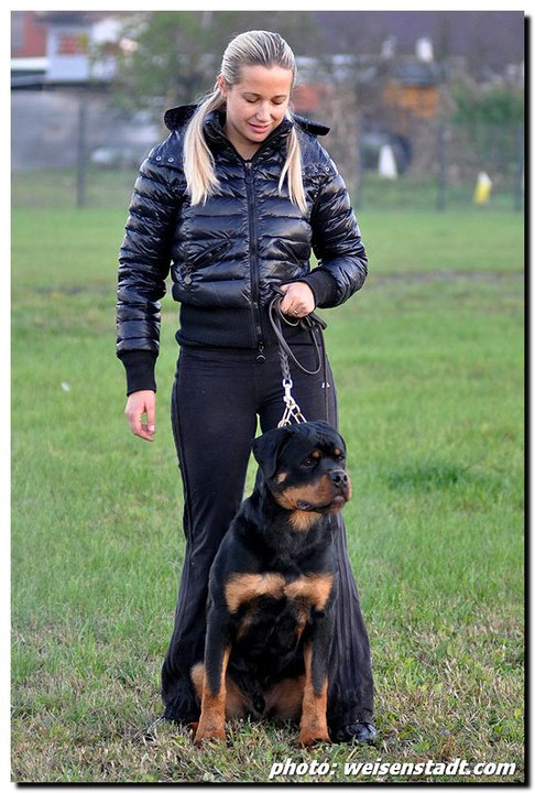 Djuke von der Alten Festung Djuke von der Alten Festung