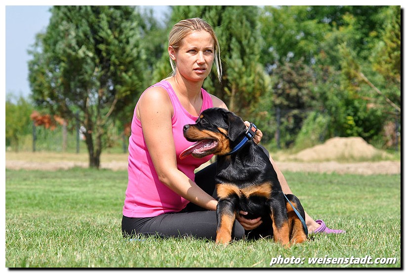 Djuke von der Alten Festung Djuke von der Alten Festung
