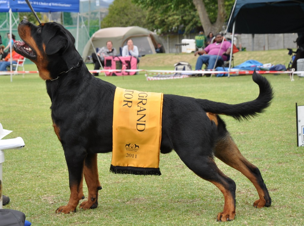 Eduard von der Alten Festung Eduard von der Alten Festung
