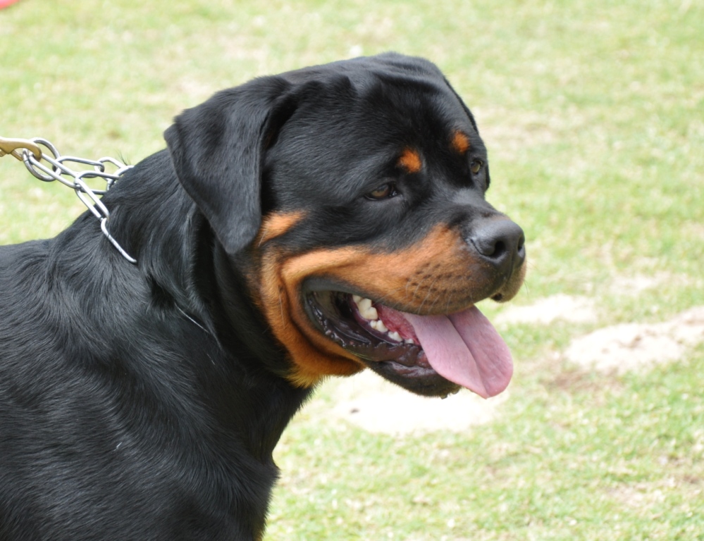 Eduard von der Alten Festung Eduard von der Alten Festung