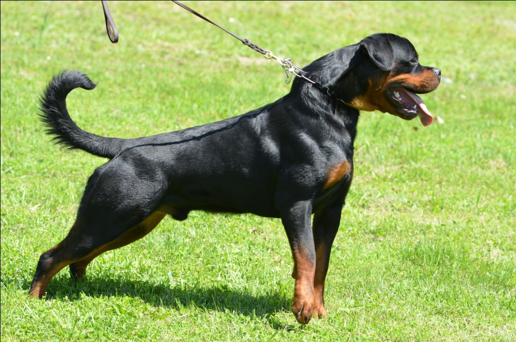 Eduard von der Alten Festung Eduard von der Alten Festung