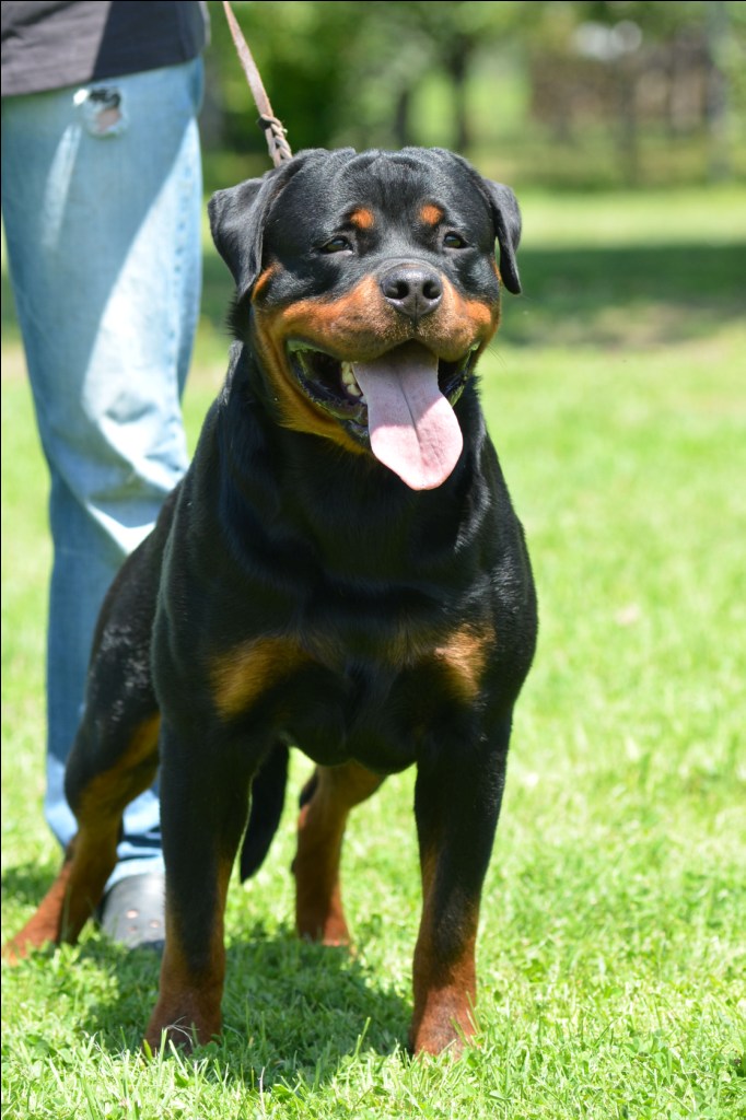 Eduard von der Alten Festung Eduard von der Alten Festung
