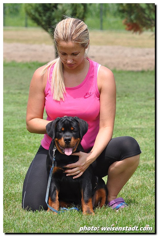 Ch.J. Eduard von der Alten Festung Eduard von der Alten Festung