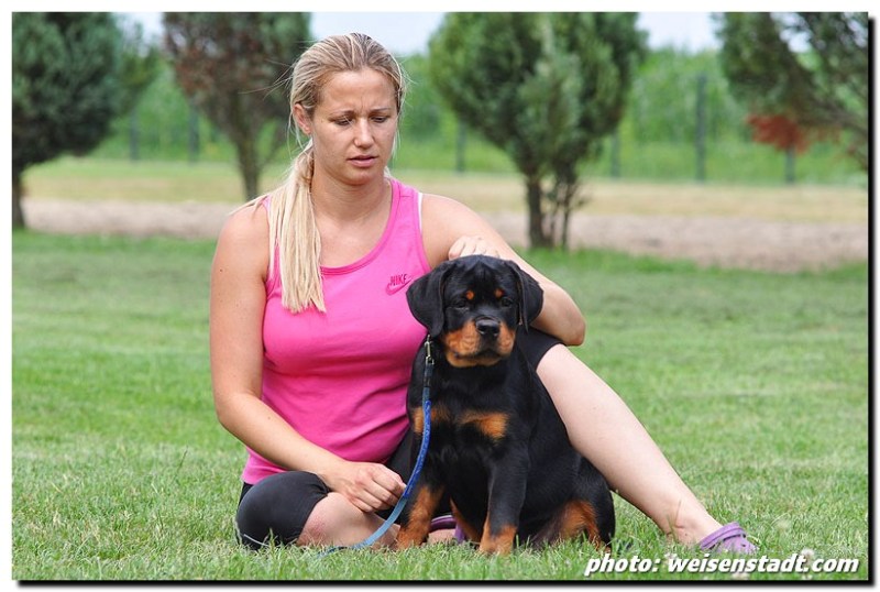 Eduard von der Alten Festung Eduard von der Alten Festung